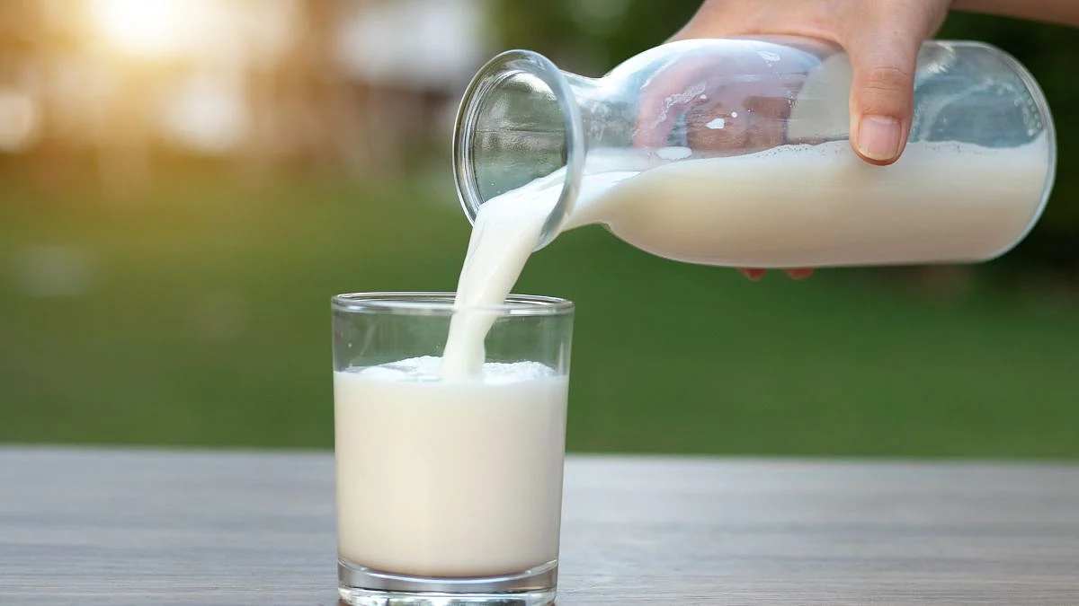 Goa Dairy milk