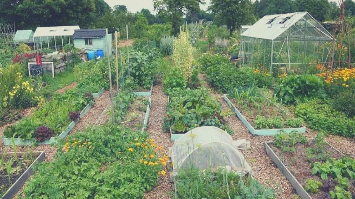 Goa Agriculture|