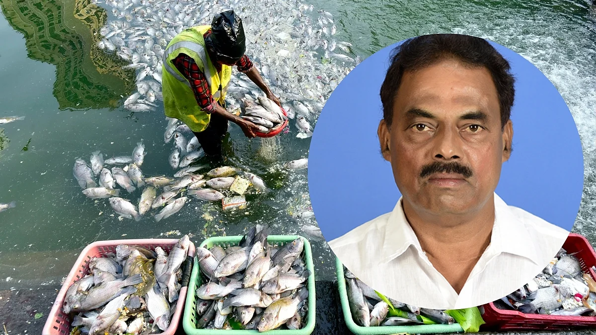 Fish Business
