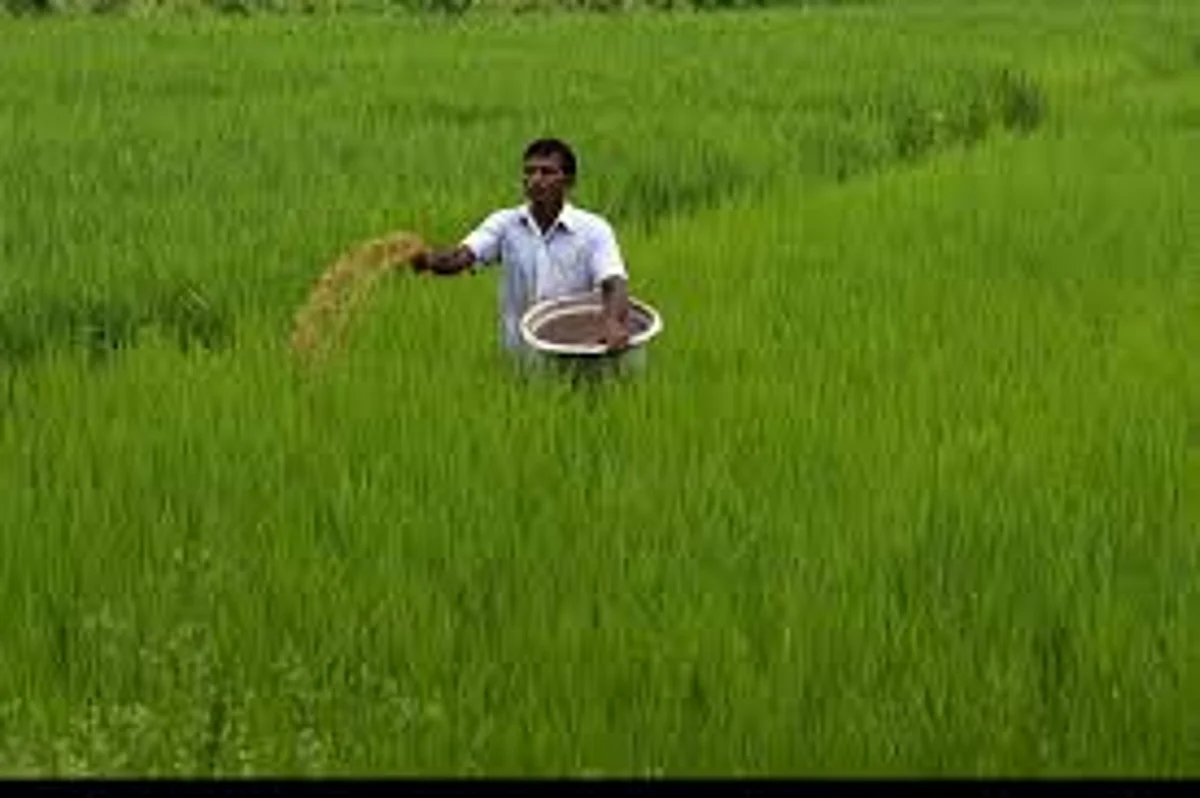 water hyacinth will be beneficial for agriculture, will be organic fertilizer production