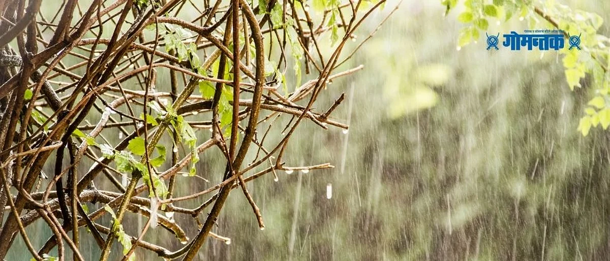 महाराष्ट्रात अवकाळी पावसाची हजेरी; हवामान खात्याचा वादळासह गारपीटीचा इशारा