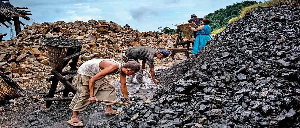 काळ्या कोळश्यावर विश्वास दाखवताना करावा लागेल विचार...
