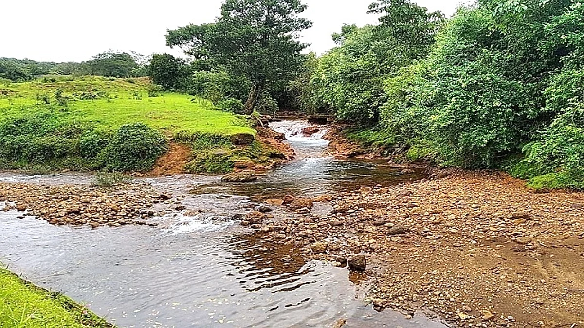 Kalasa cannal
