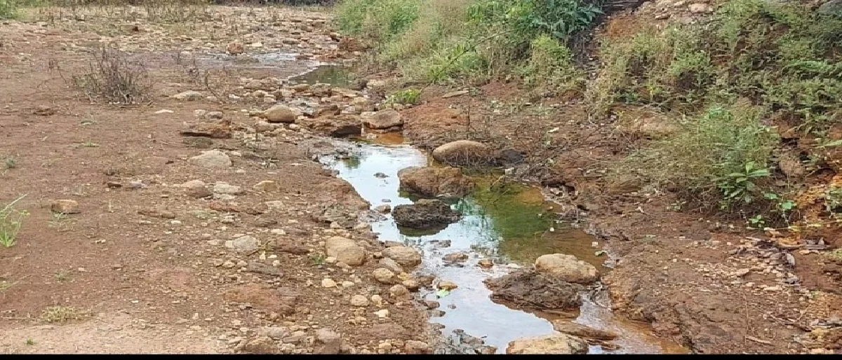 Impact of Kalsa Bhandura on the tributaries of Mhadai river