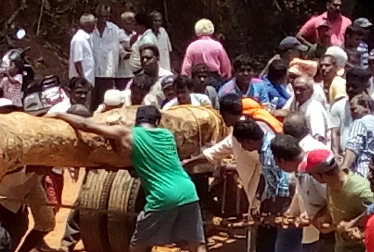 gade jatra