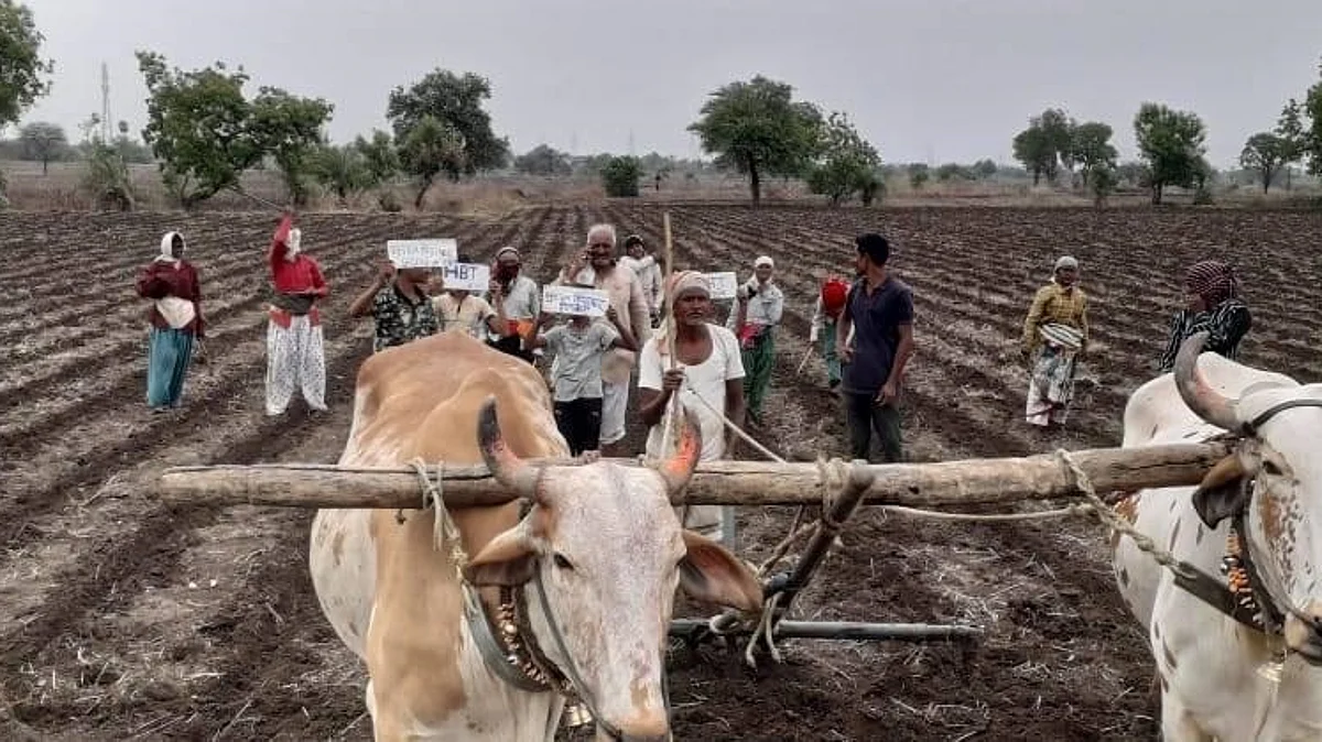 Farmer