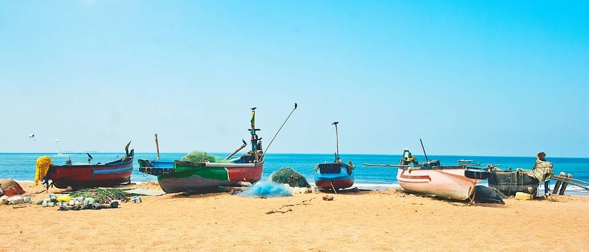 Goa Fish