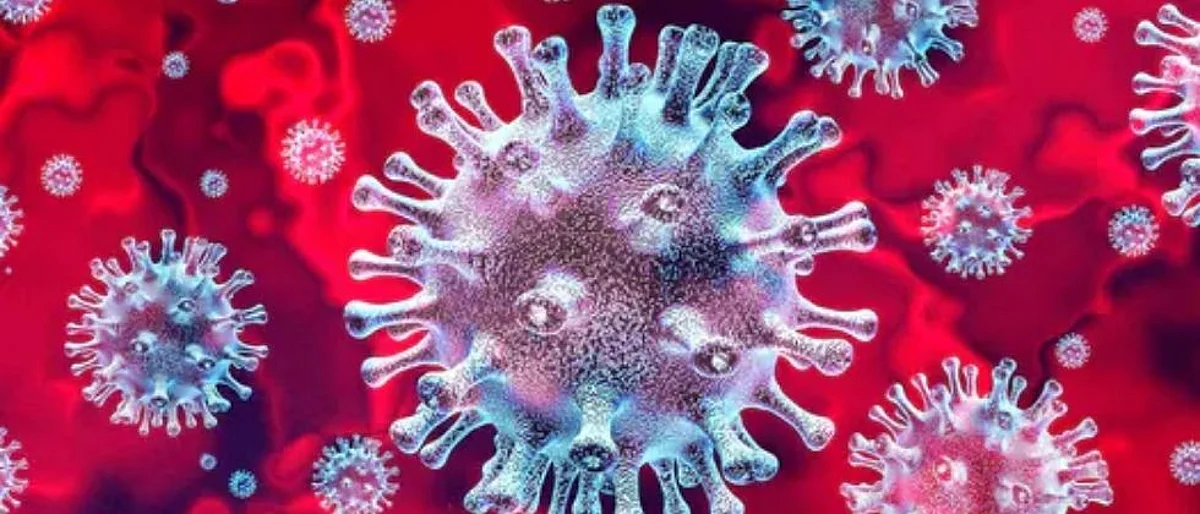 coronaVIRUS 5.jpg