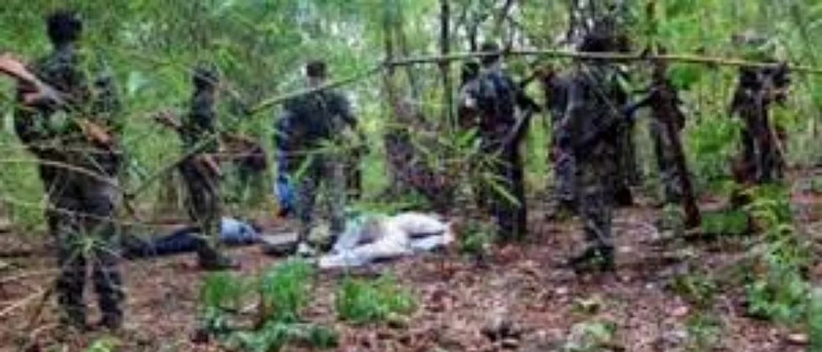 Naxal: गडचिरोलीत नक्षली आणि पोलिसांत चकमक; 13 नक्षली ठार