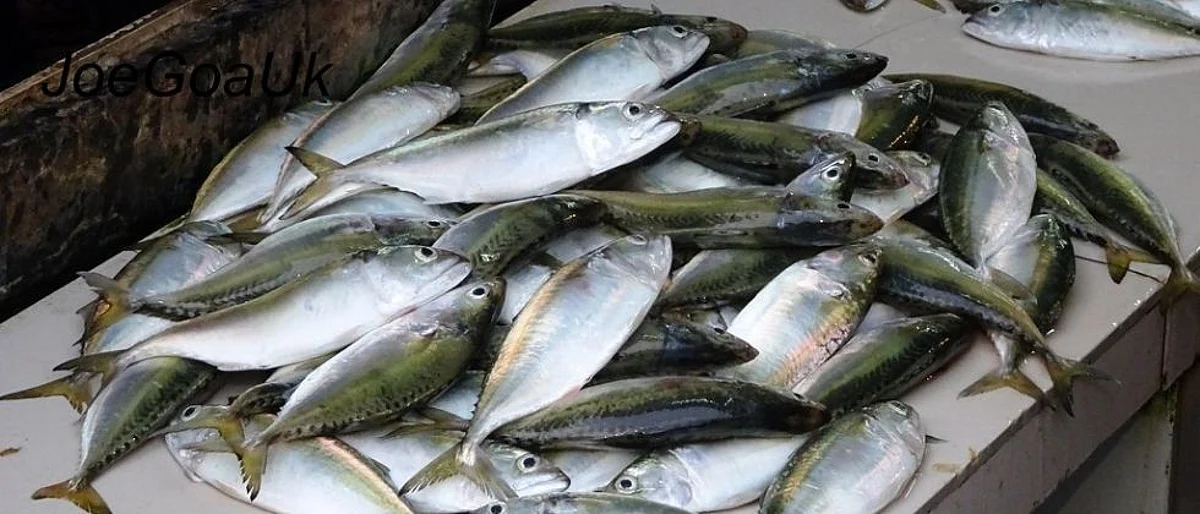 goa fish market, Goa fish market news updates