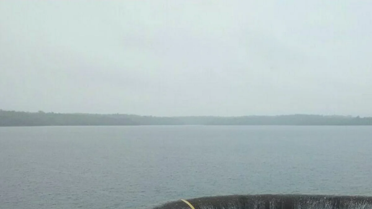 Salavalim dam