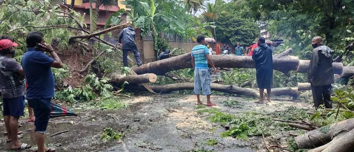 TAUKTAE Cyclone Update: गोव्यात 2 मृत्यूची नोंद; 500 झाडे कोसळली