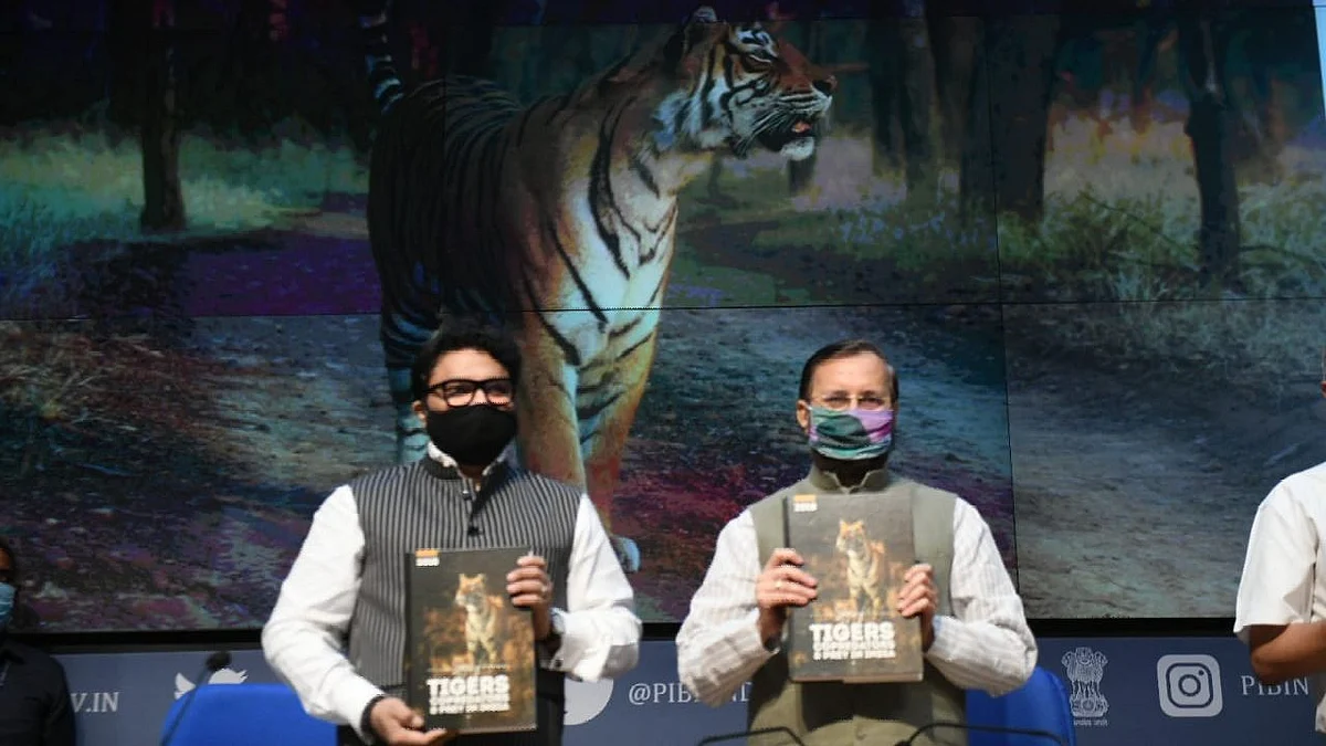 India will take leader's role in global Tiger conservation : Javadekar