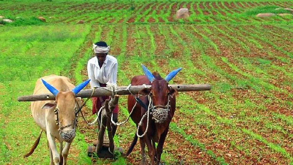 करोनात काळातही शेतकर्यांना 1678 कोटींचा बुस्टर डोस