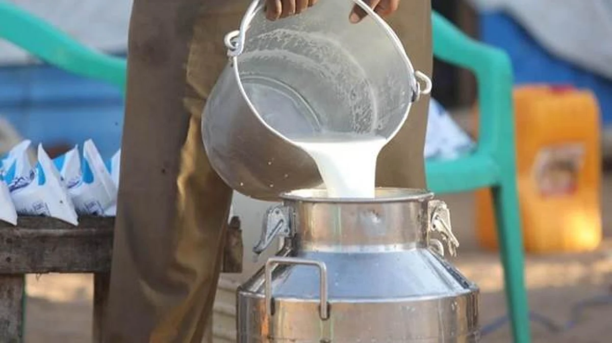 भाजपतर्फे कोविड सेंटरला दूधवाटप