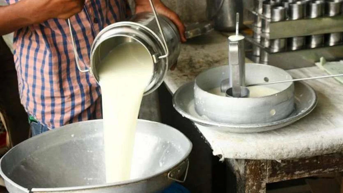 गायीच्या दुधाला किमान 42 रुपये प्रति लिटर भाव द्या