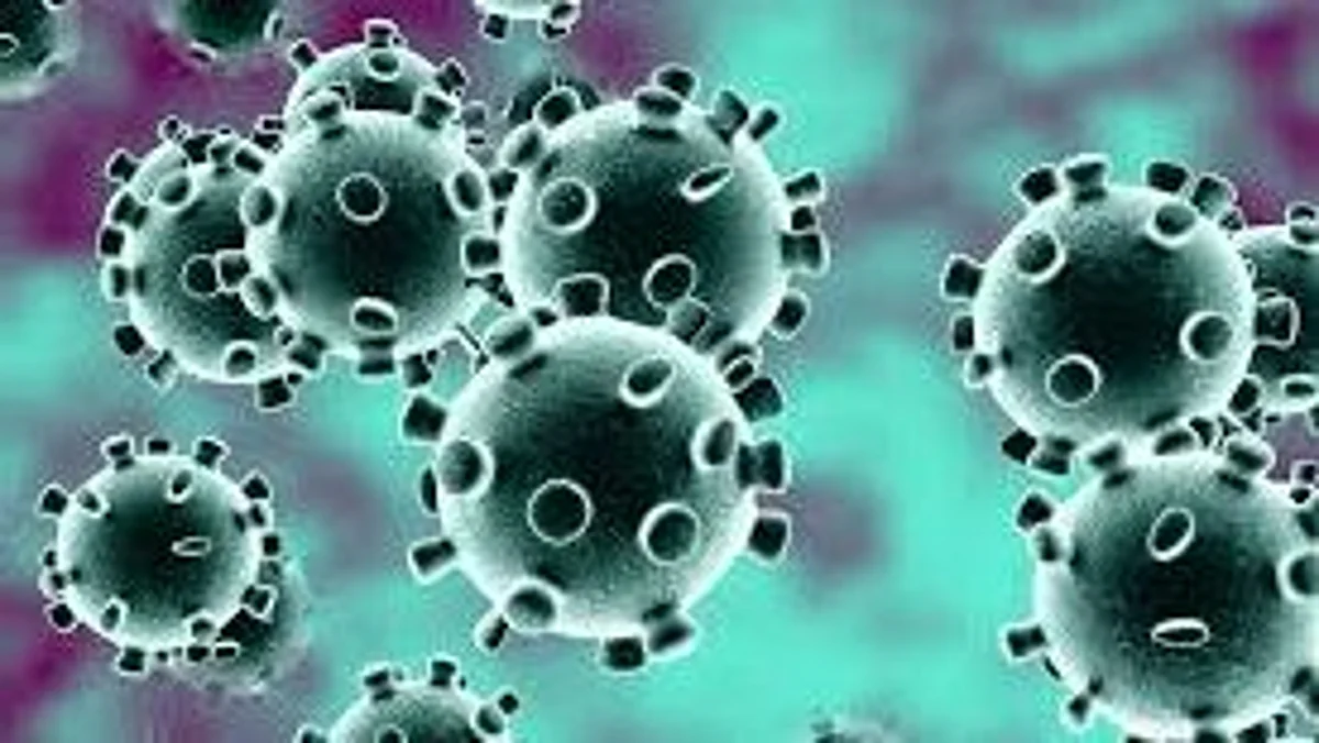 Spike in swine flu cases