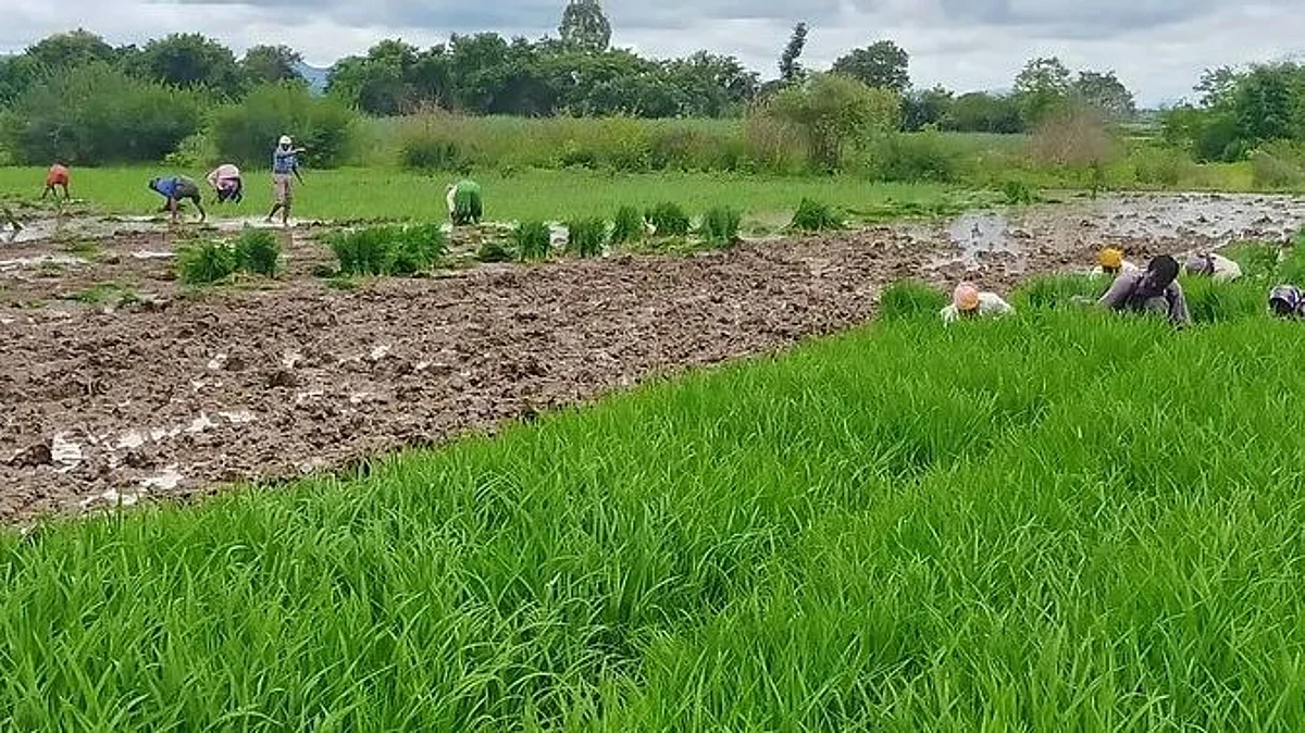 Incessant rains in parts of district