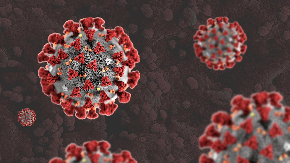 Coronavirus : देशातील एकूण रुग्णसंख्या २ कोटींवर