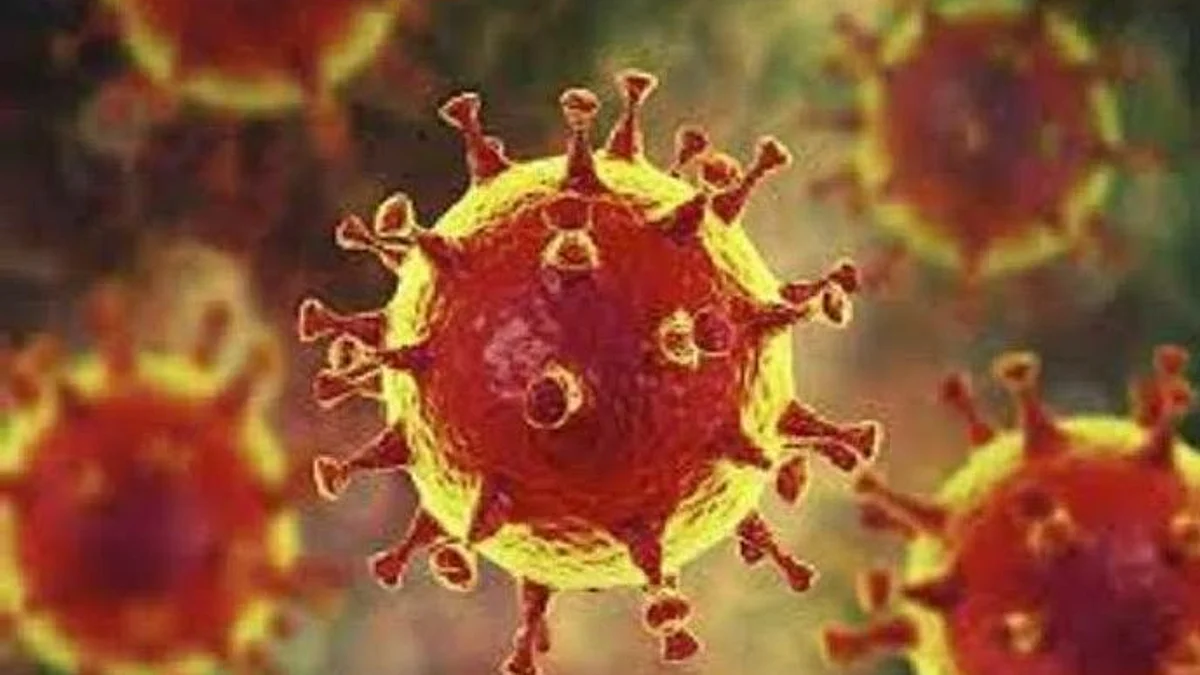श्रीरामपुरात करोनाचे 24 अॅक्टीव्ह रुग्ण
