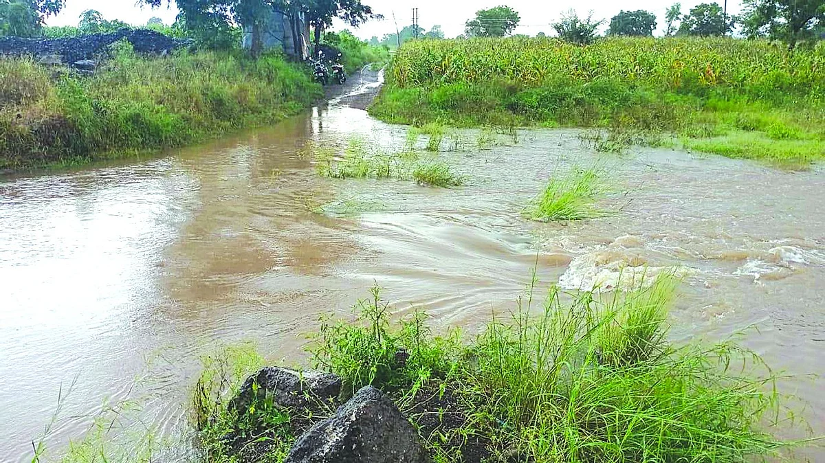 राज्यात ओला दुष्काळ जाहीर होणार? वडेट्टेवारांनी केले हे वक्तव्य