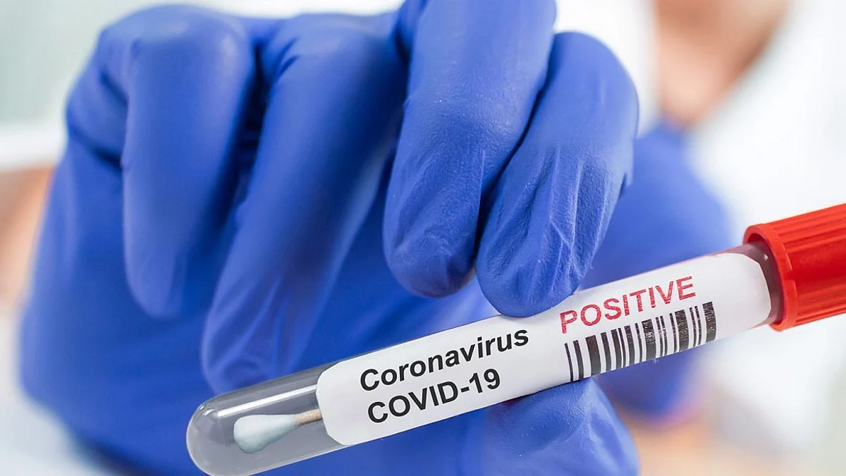 Coronavirus : सलग दुसऱ्या दिवशी दोन लाखांहून अधिक रुग्णांची नोंद, मृत्युदर १.२३ टक्क्यांवर
