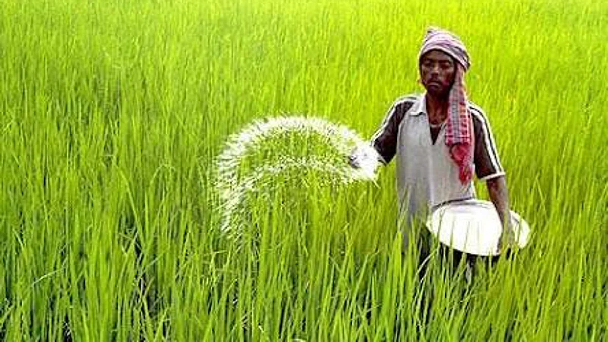 कृषी विकास आणि संशोधन