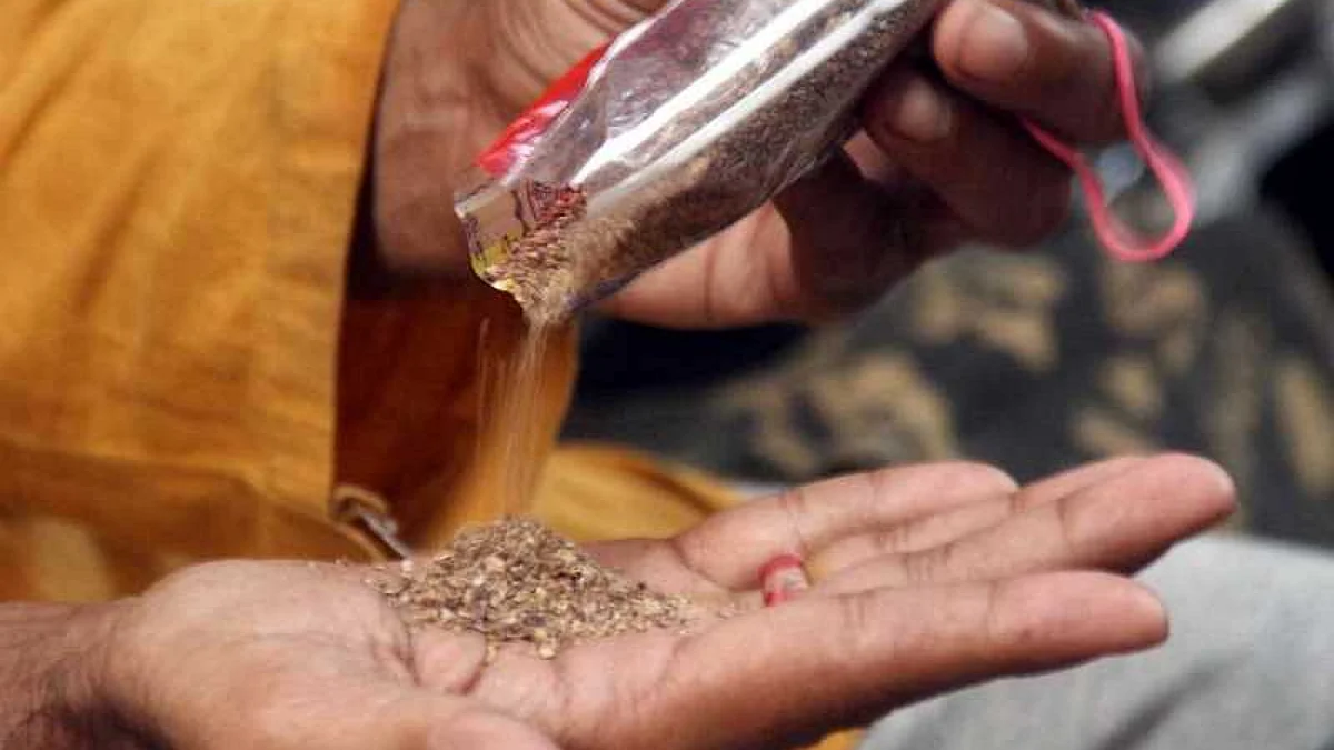 'भावा दे रे मावा'