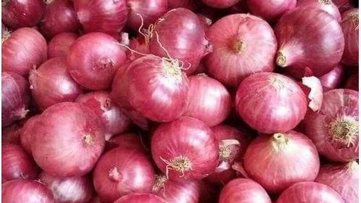 शनिवारपासून कांदा लिलाव बेमुदत बंद