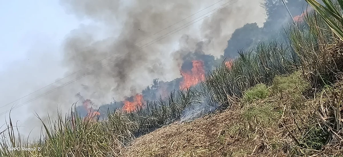 उंबरेत उसाला शॉर्टसर्किटमुळे आग