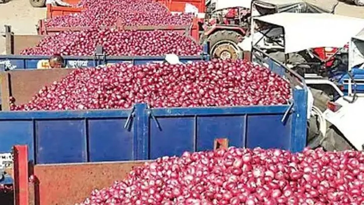 परदेशी कांदा आयात करणाऱ्यांचा कांदा उत्पादक शेतकरी करणार 'करेक्ट कार्यक्रम'