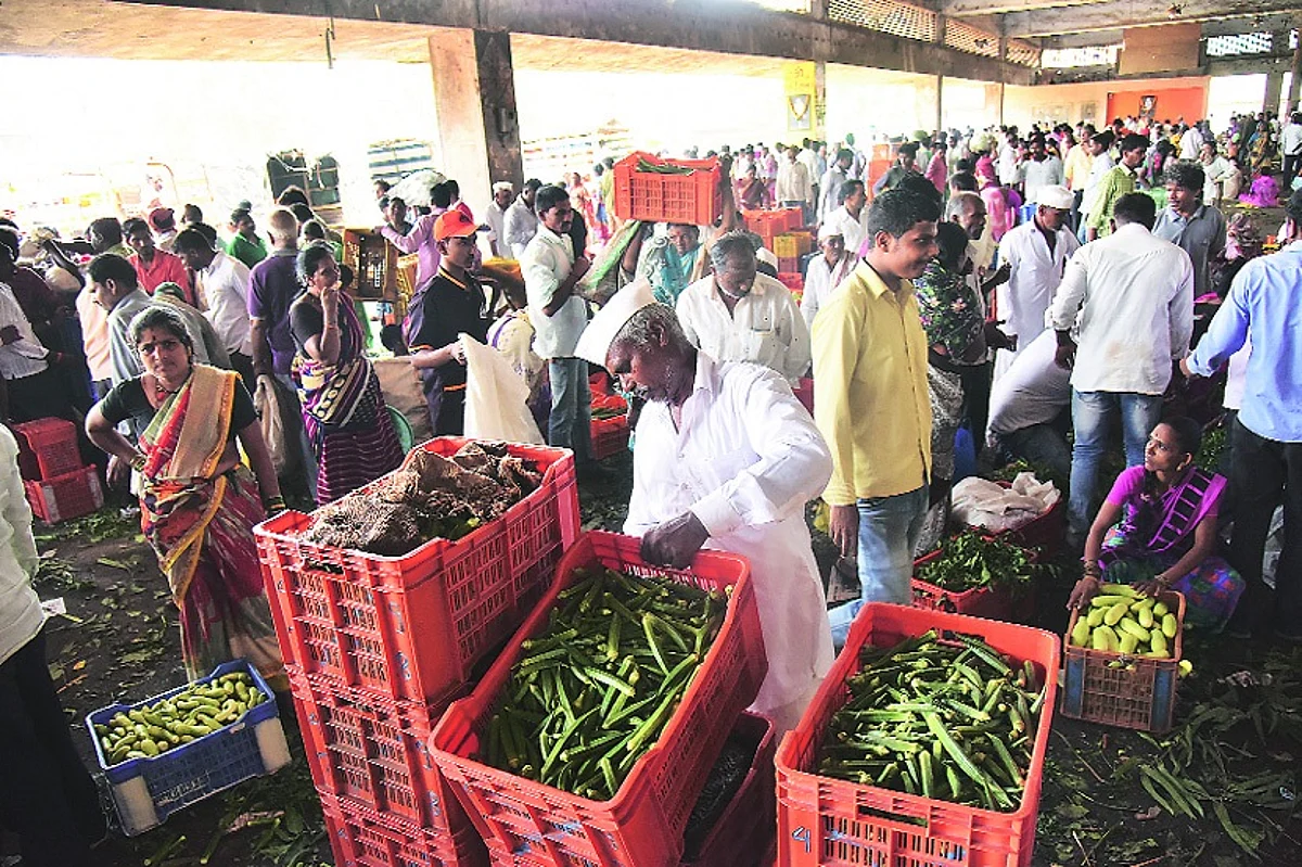 Vegetable supply rises to Nashik APMC