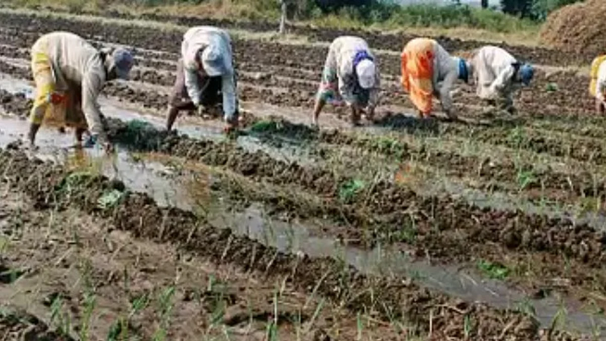 Power cuts looming as farmers’ struggle continues