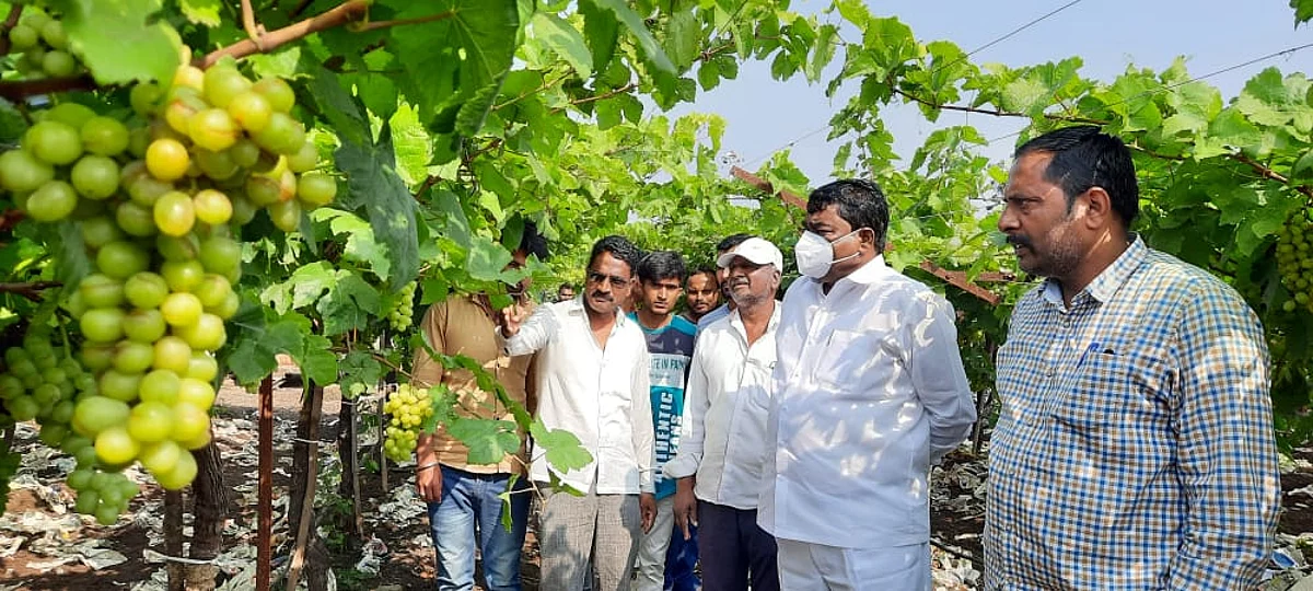 Make immediate assessment of crop damage