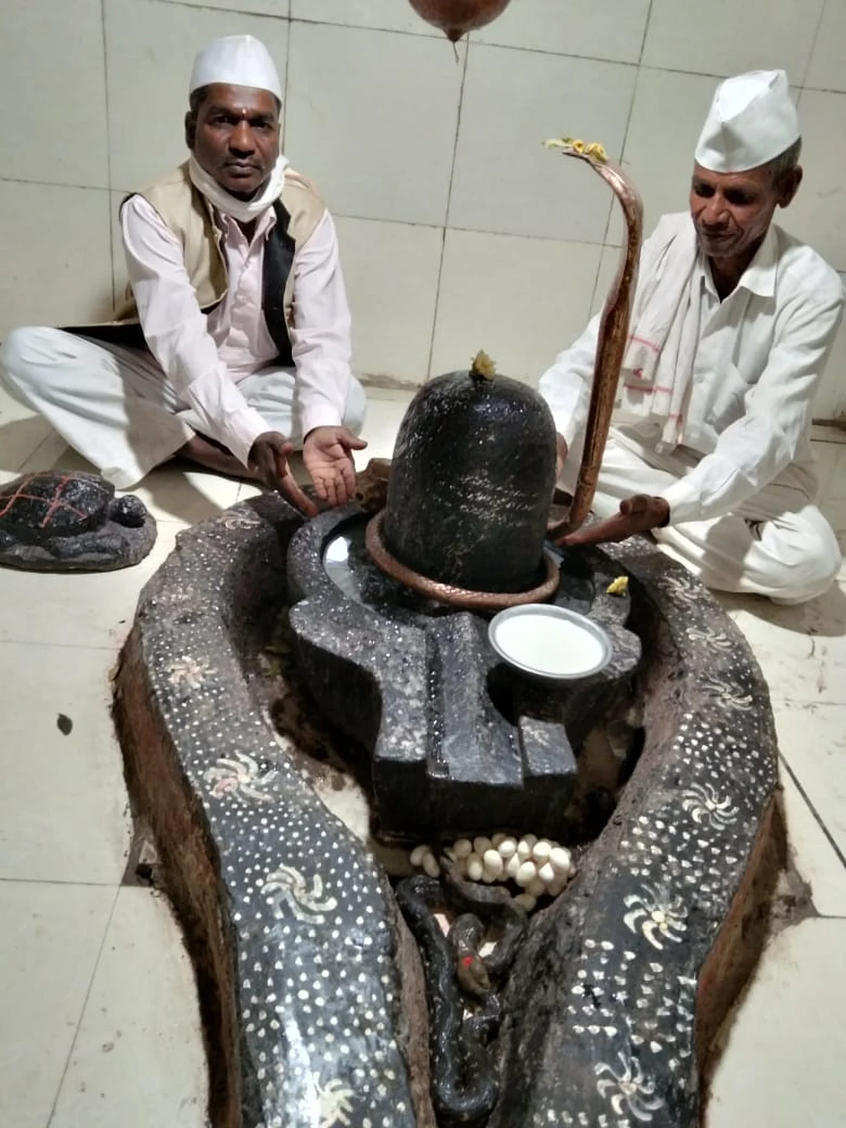 तीन दिवसांपासुन नागिनीचा पिंडीवर मुक्काम