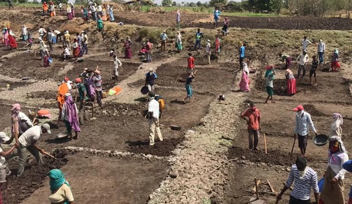 20 दिवसात निम्म्याने घटले रोहयो मजूर