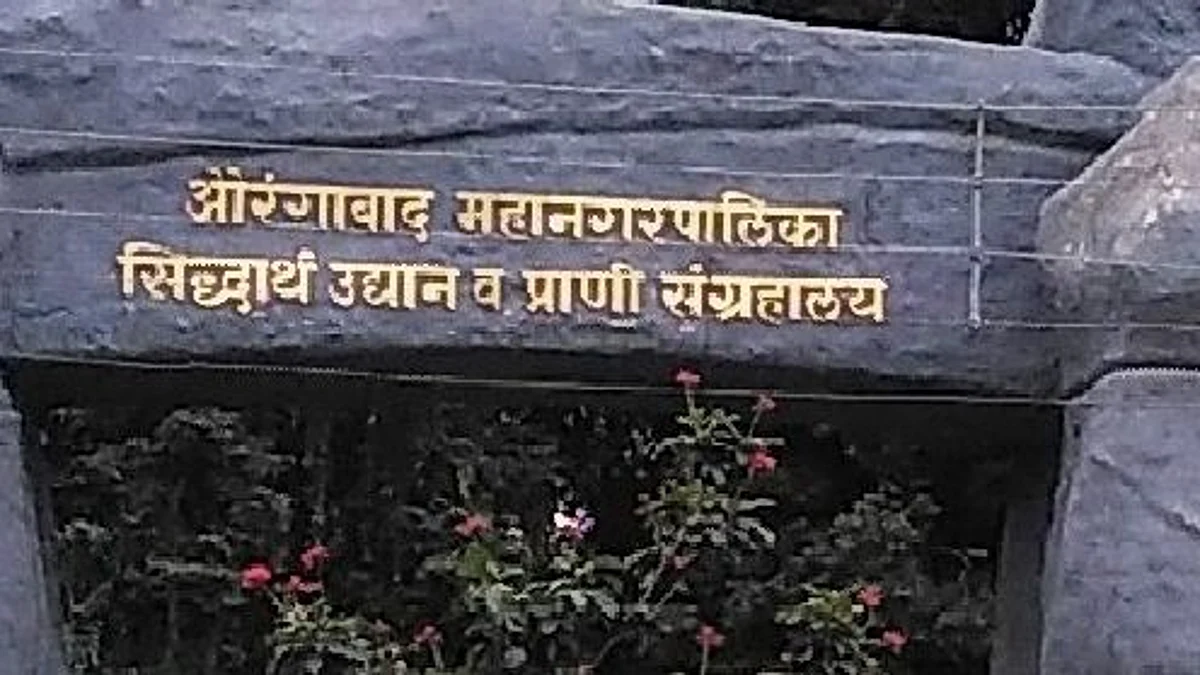 पांढऱ्या वाघिणीच्या पायाखाली दबून बछड्याचा मृत्यू