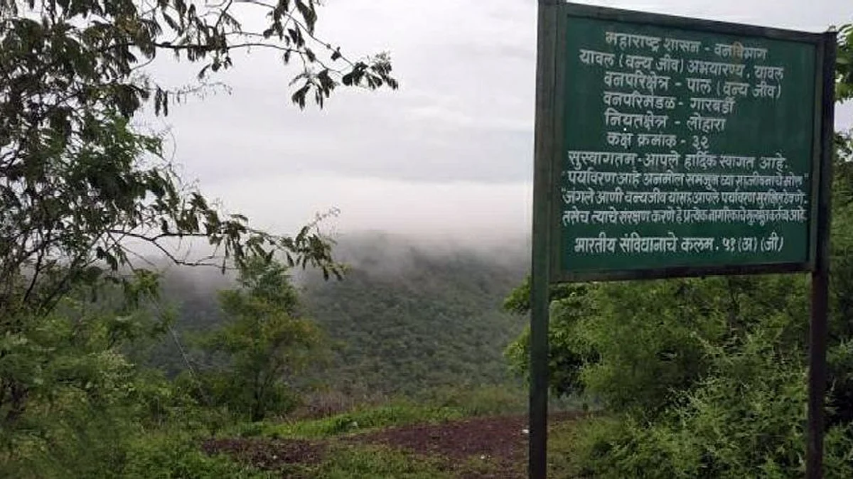 यावल वन्यजीव अभयारण्य ३० एप्रिल पर्यंत बंद
