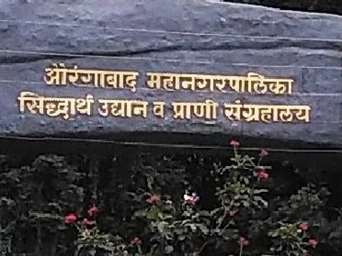 आईची उब न मिळाल्याने पांढऱ्या वाघिणीच्या दुसऱ्या पिल्लाचा मृत्यू