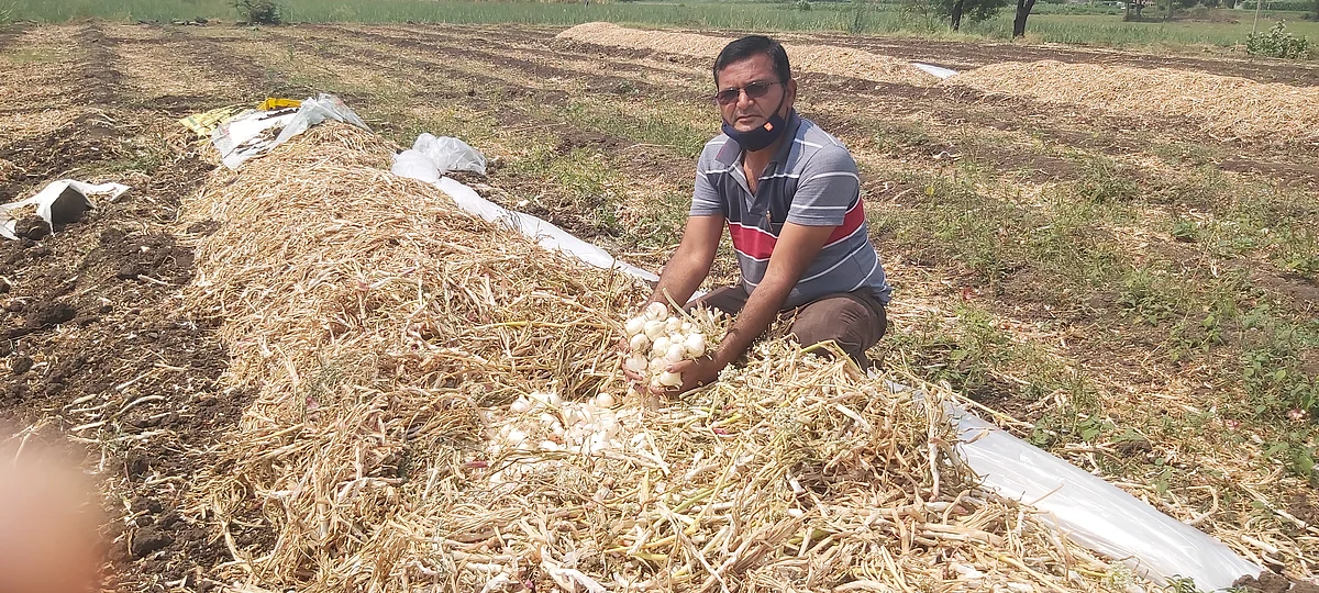 मानोरीच्या शेतकर्याची बियाण्यात फसवणूक