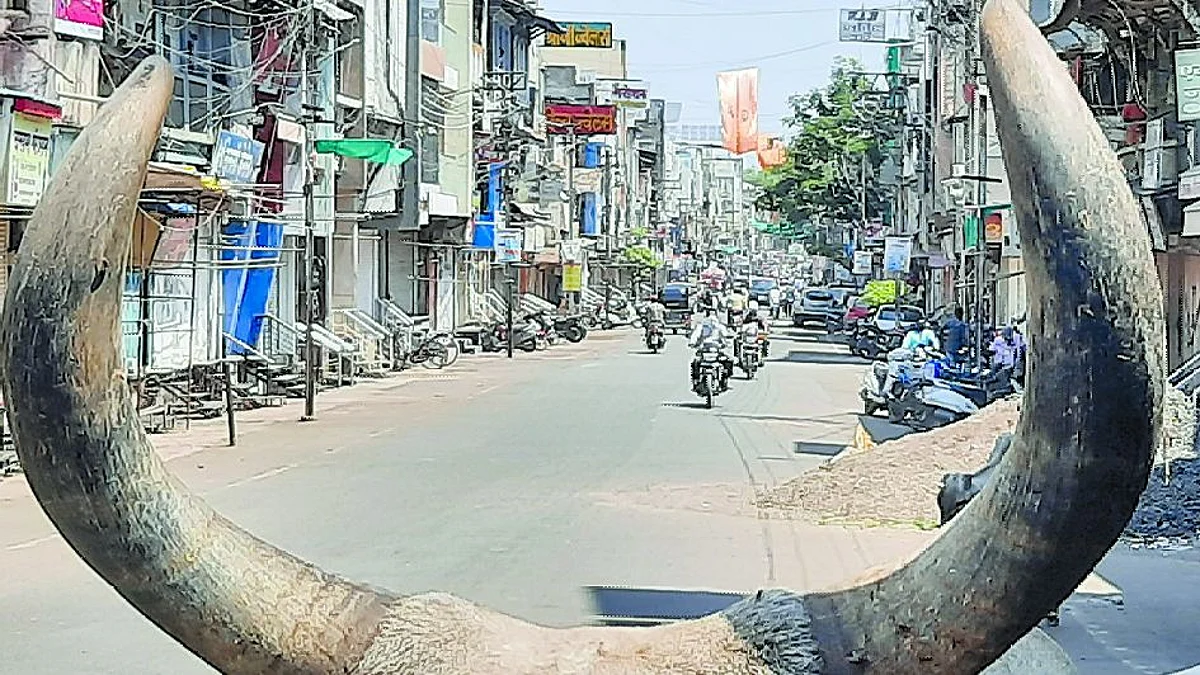 धुळे : लॉकडाऊन