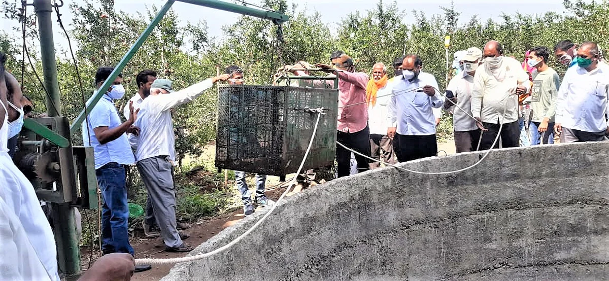 देवकौठे शिवारात विहिरीत पडलेल्या बिबट्यास जीवदान