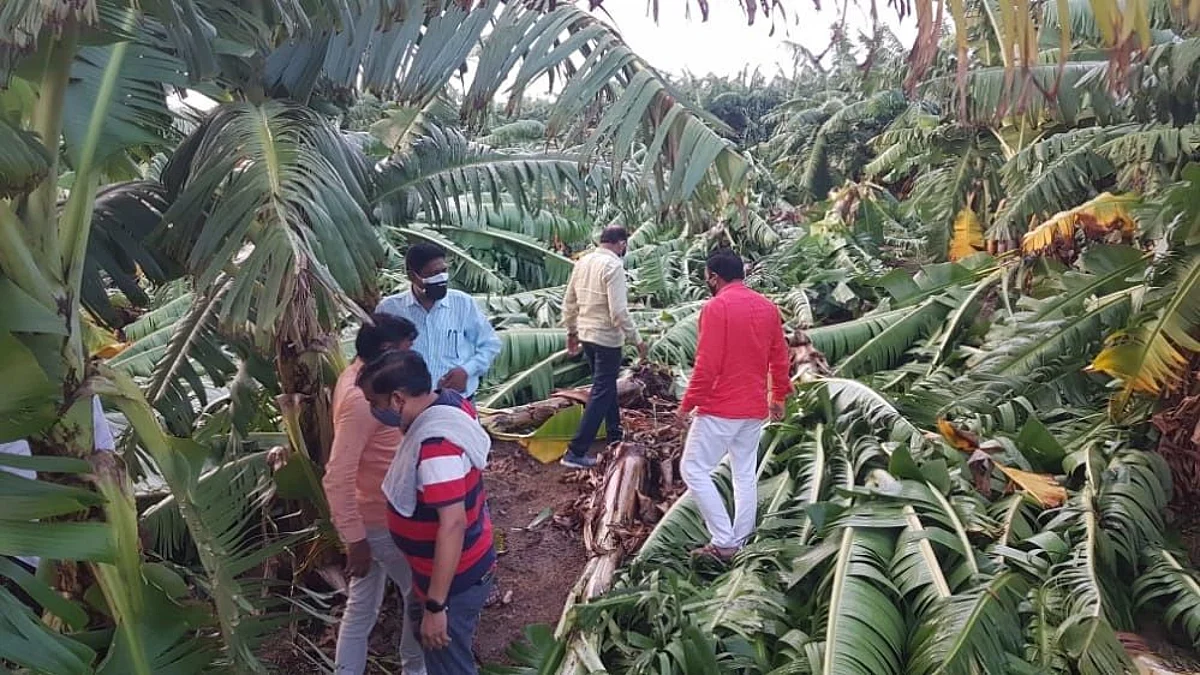 मुक्ताईनगर तालुक्यात वादळी वार्यासह जोरदार पाऊस