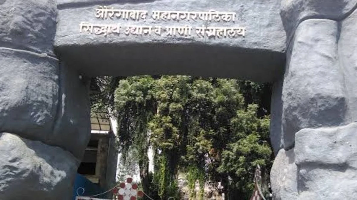 सिद्धार्थ प्राणिसंग्रहालयातील प्राण्यांची दररोज हाेतेय तापमान तपासणी