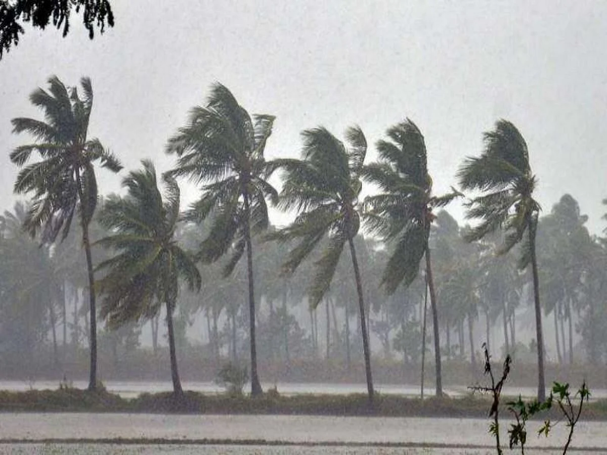 File Photo