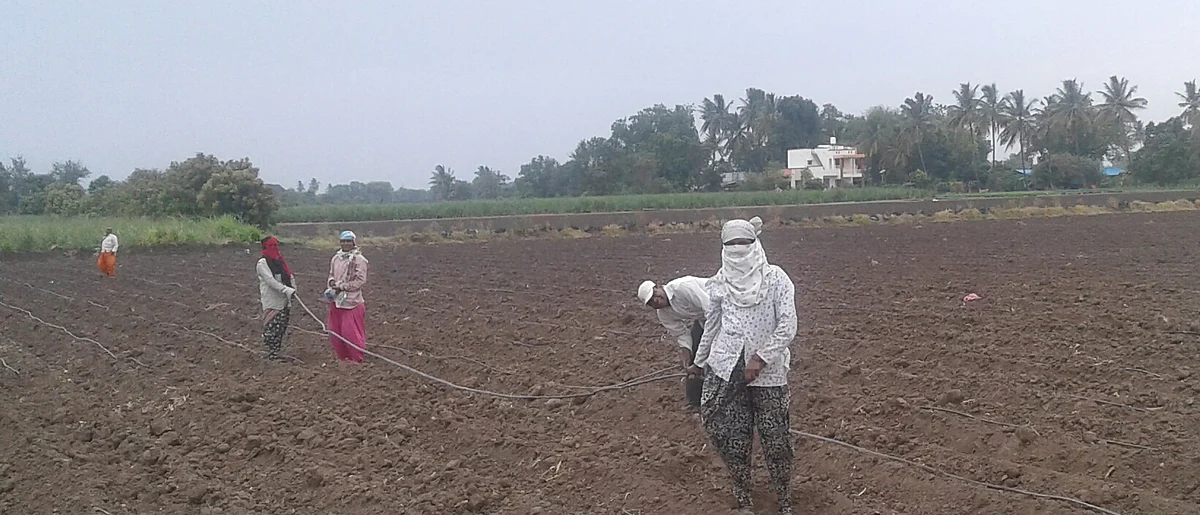 राहुरी तालुक्यातील शेतकर्यांना लागले कपाशी लागवडीचे वेध