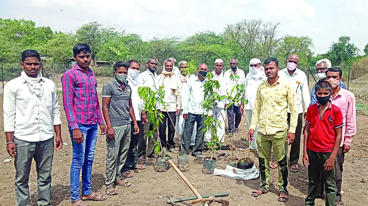 परंपरेला फाटा देत गायकवाड परिवाराकडून वृक्षारोपण
