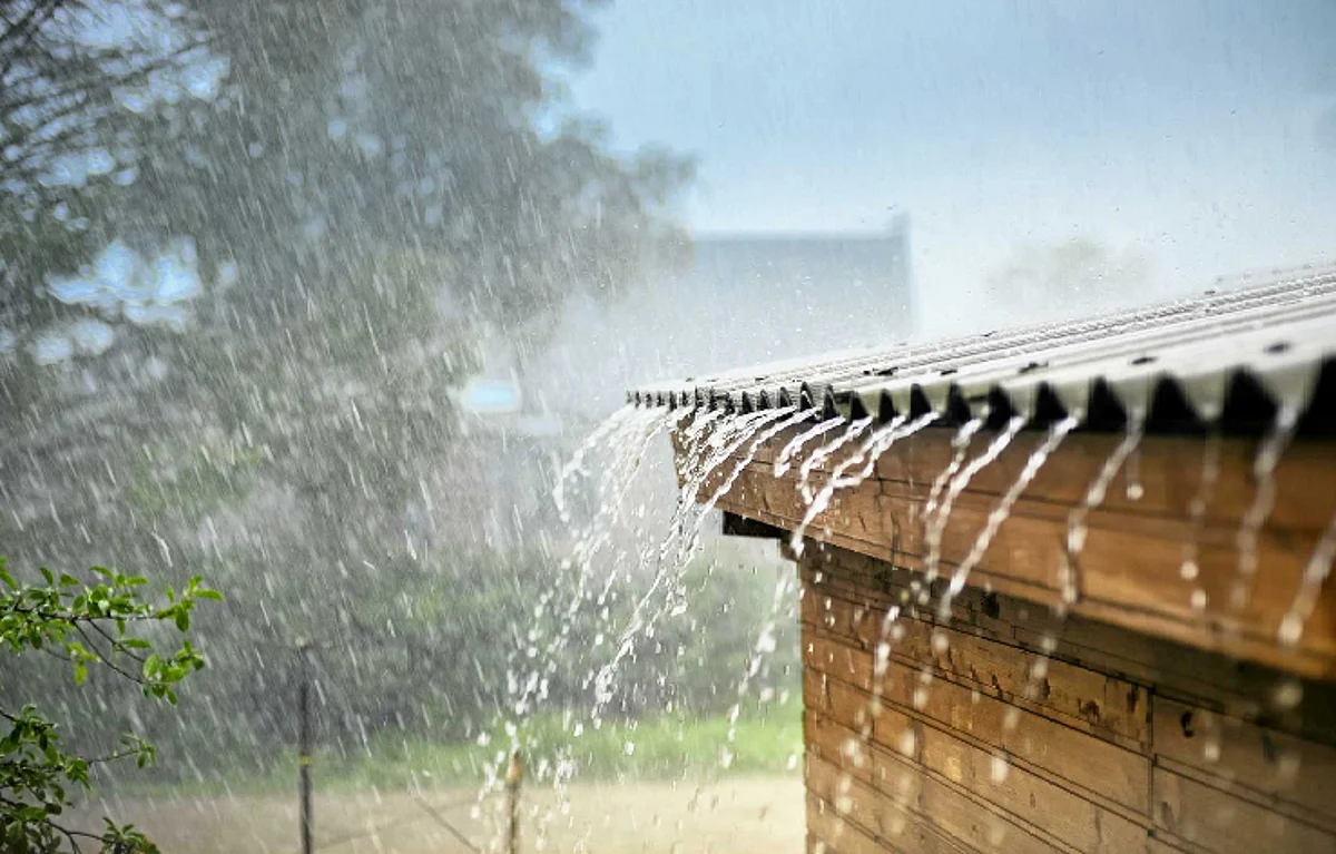 Rain Update : मुंबईत पावसाचा जोर वाढला