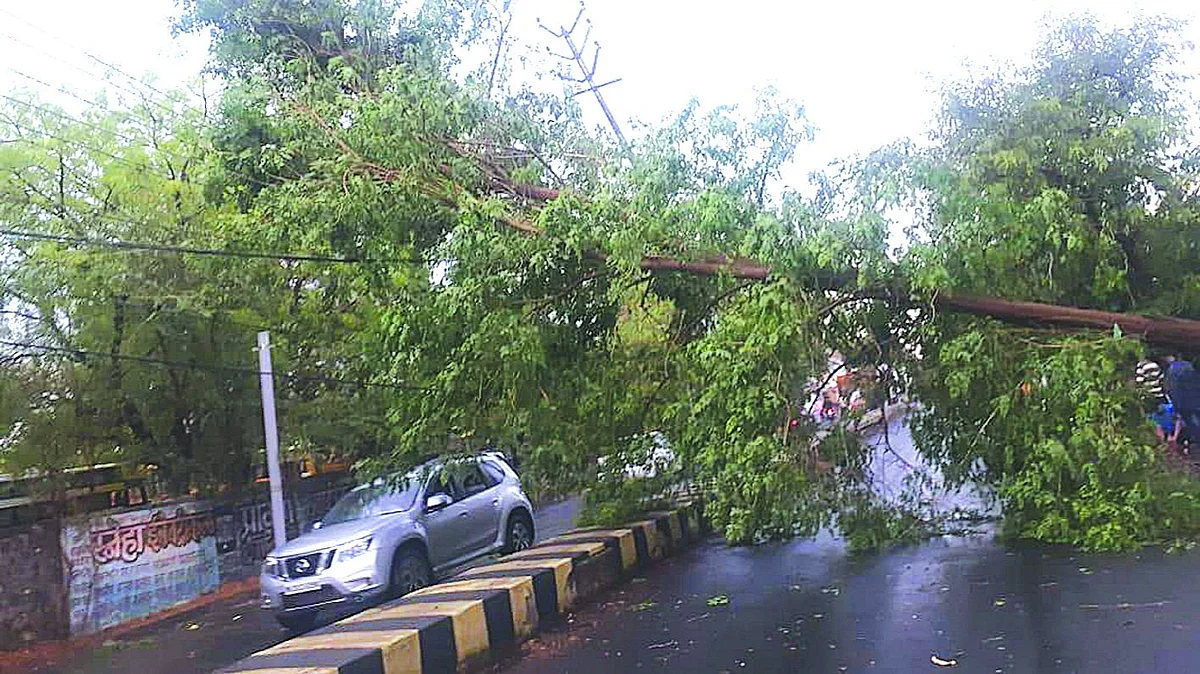 धुळ्यात वादळी वार्यासह पाऊस
