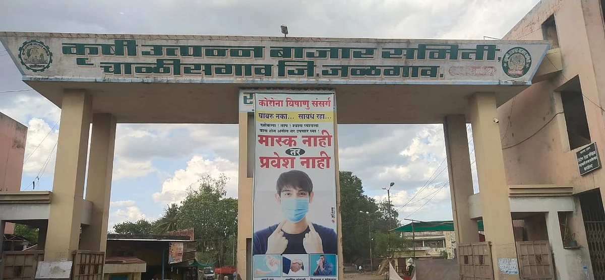 चाळीसगावात शनिवारी भरणार गुरांचा बाजार
